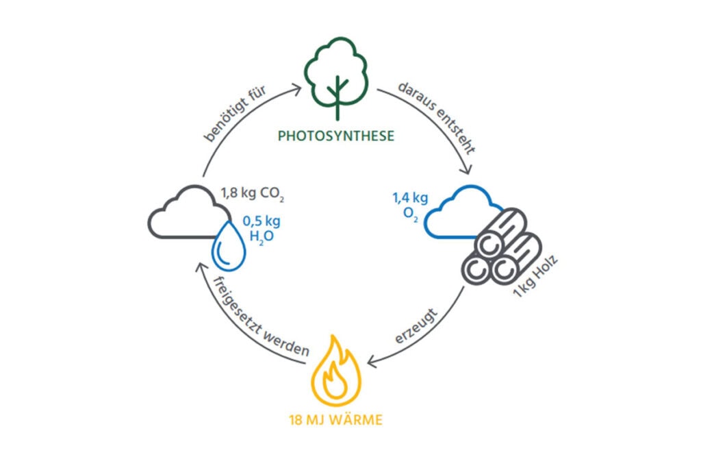 Kreislauf der Photosynthese und Holzverbrennung