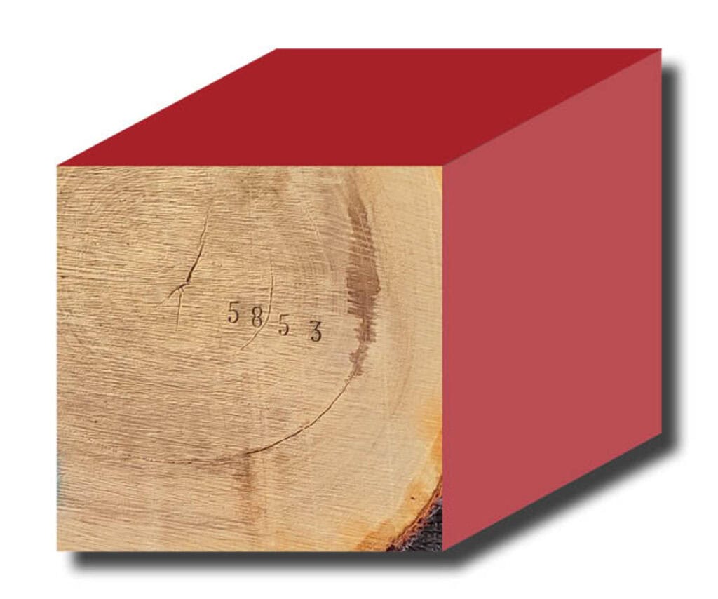 Holzwürfel mit roter Lackierung und Jahresringen
